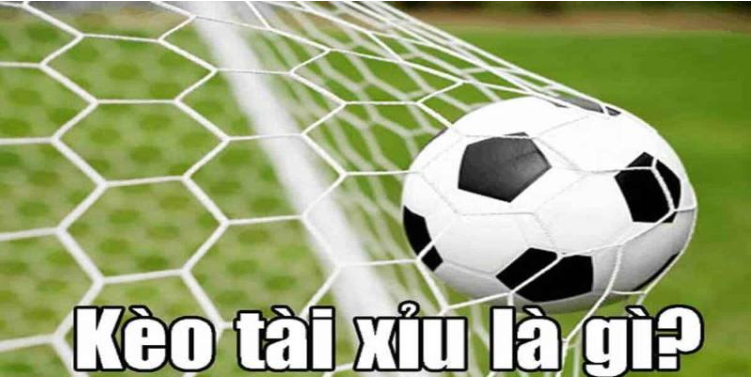 Một số kèo tài xỉu phổ biến tại nhà cái Aog777
