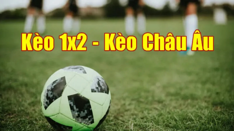 Hướng dẫn cách xem và tính tỷ lệ kèo bóng đá châu Âu
